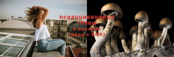 mdpv Верхний Тагил
