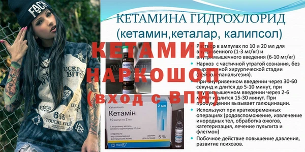 шишки Бородино